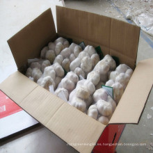 Ajo blanco normal fresco en bolsa de malla de 500g o 1 kg dentro de 10 Kg / caja para MID-East Market